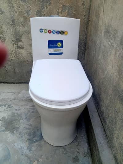One-Piece Commode/Toilet
