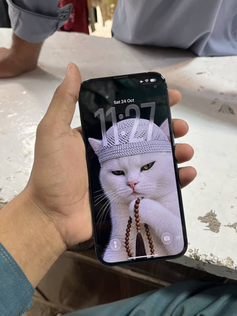 Apple iPhone 13 Pro Max 7