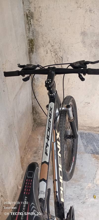 phoenix bicycle