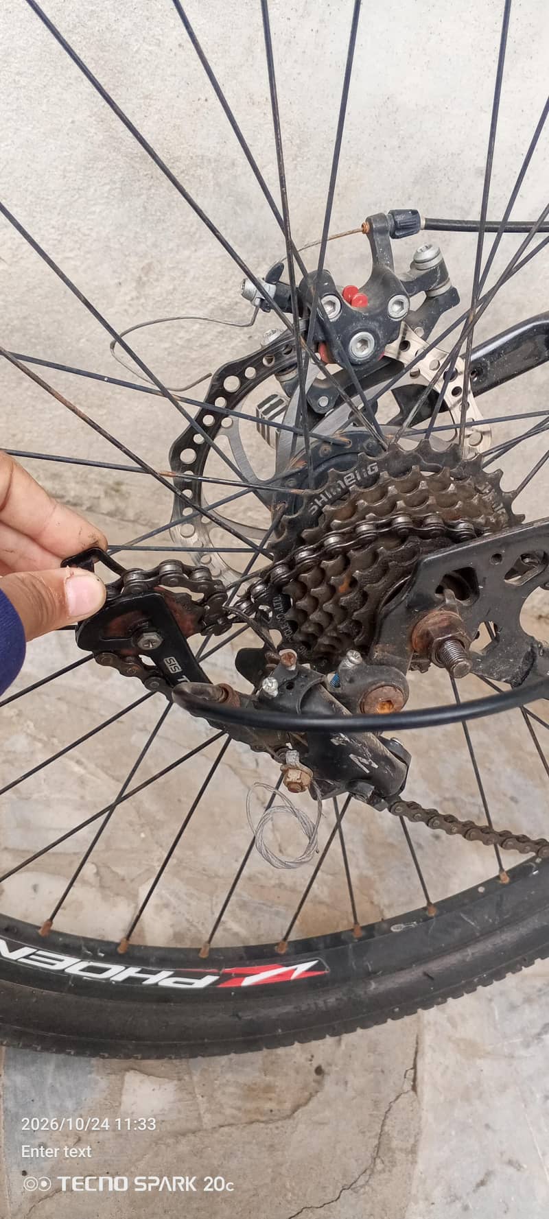 phoenix bicycle 1