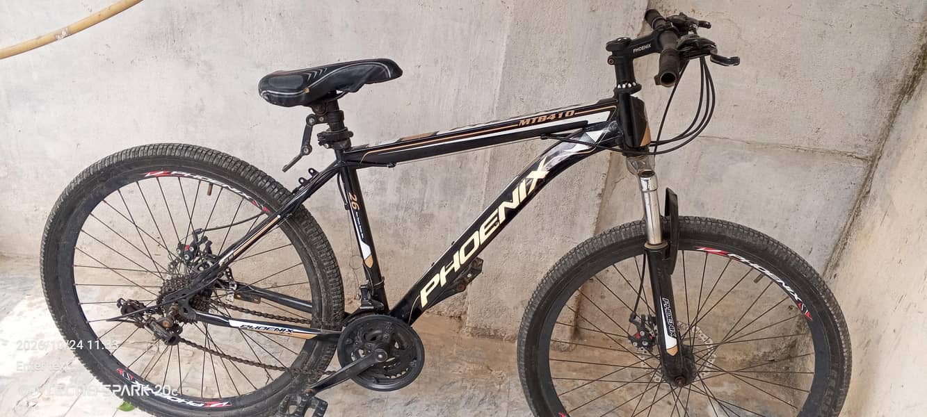 phoenix bicycle 2