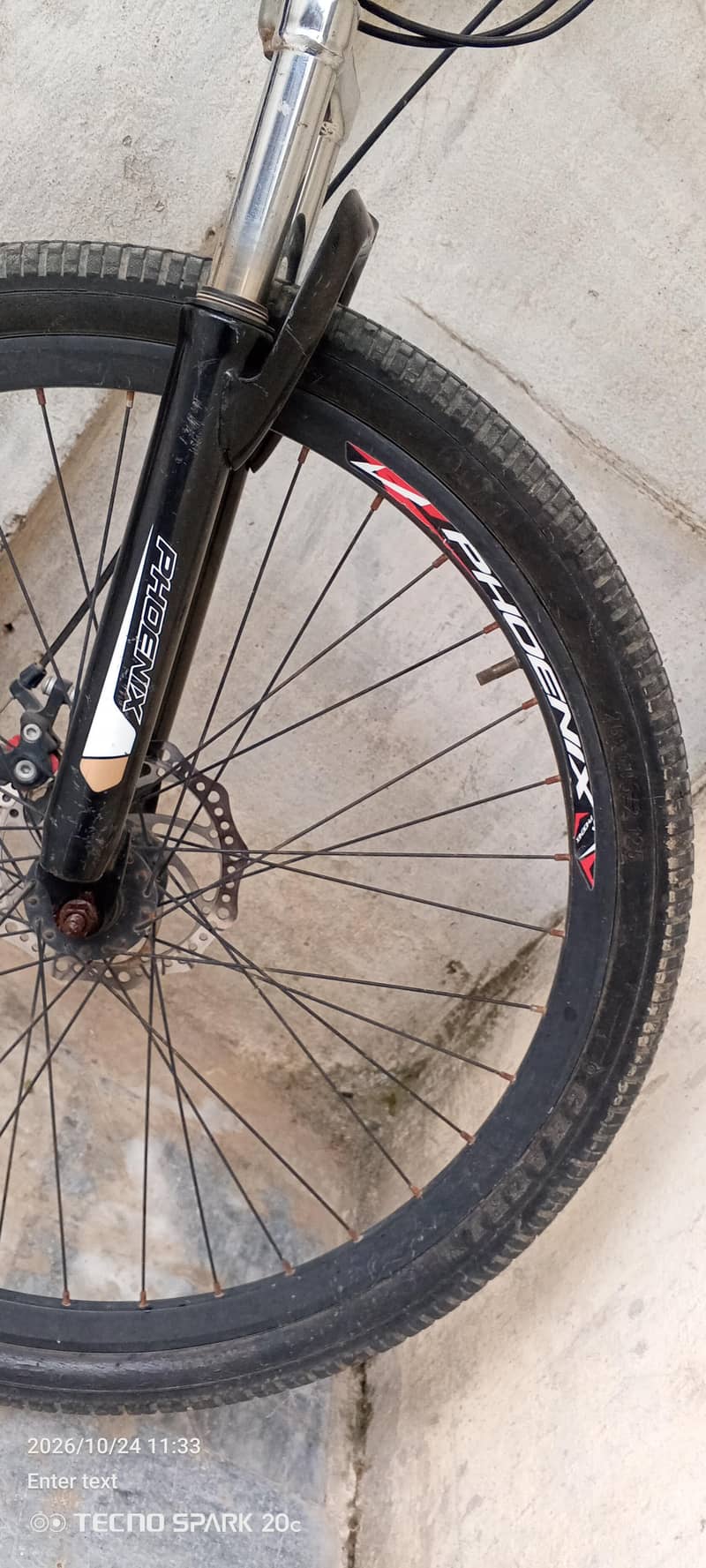 phoenix bicycle 3