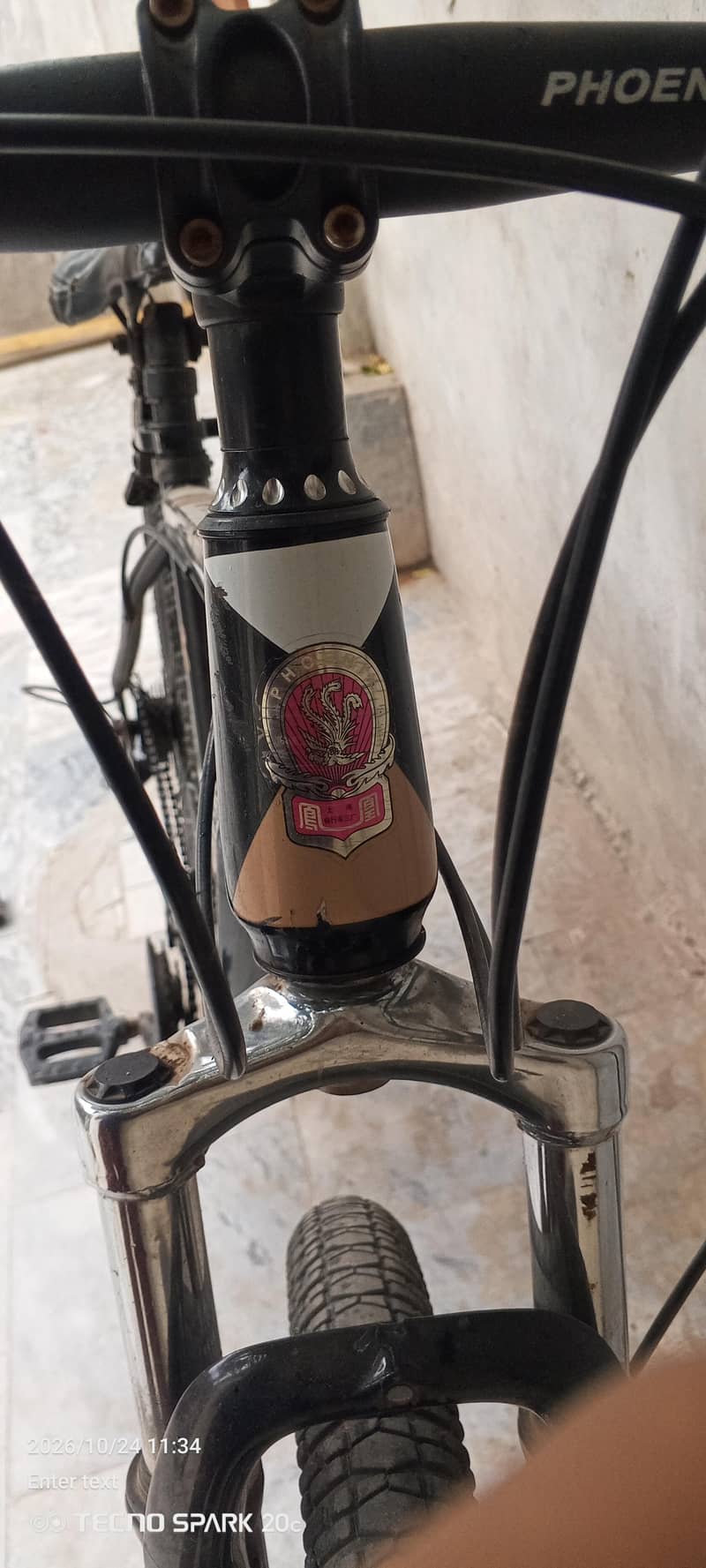 phoenix bicycle 4