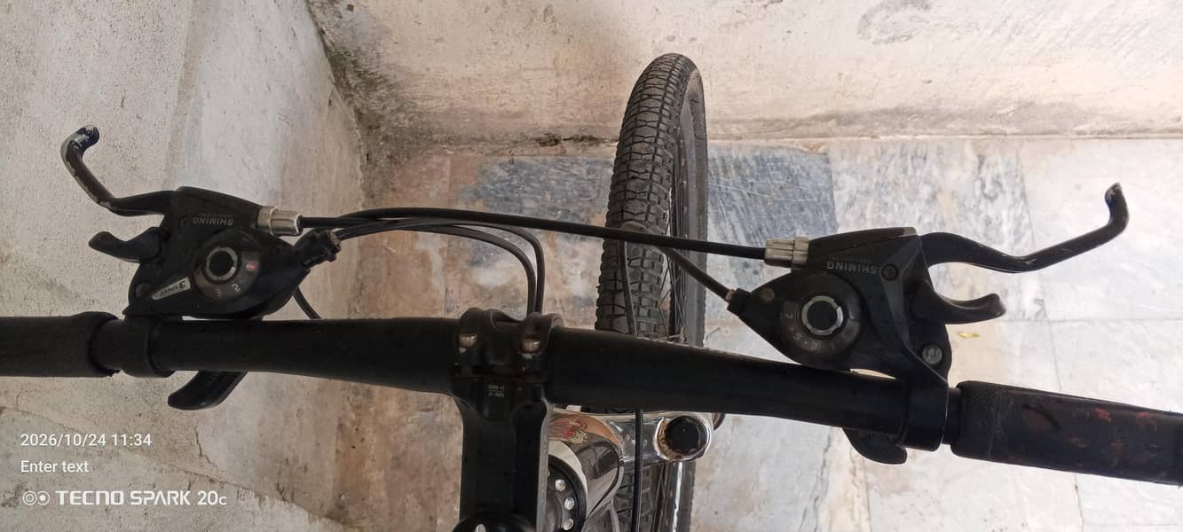 phoenix bicycle 5