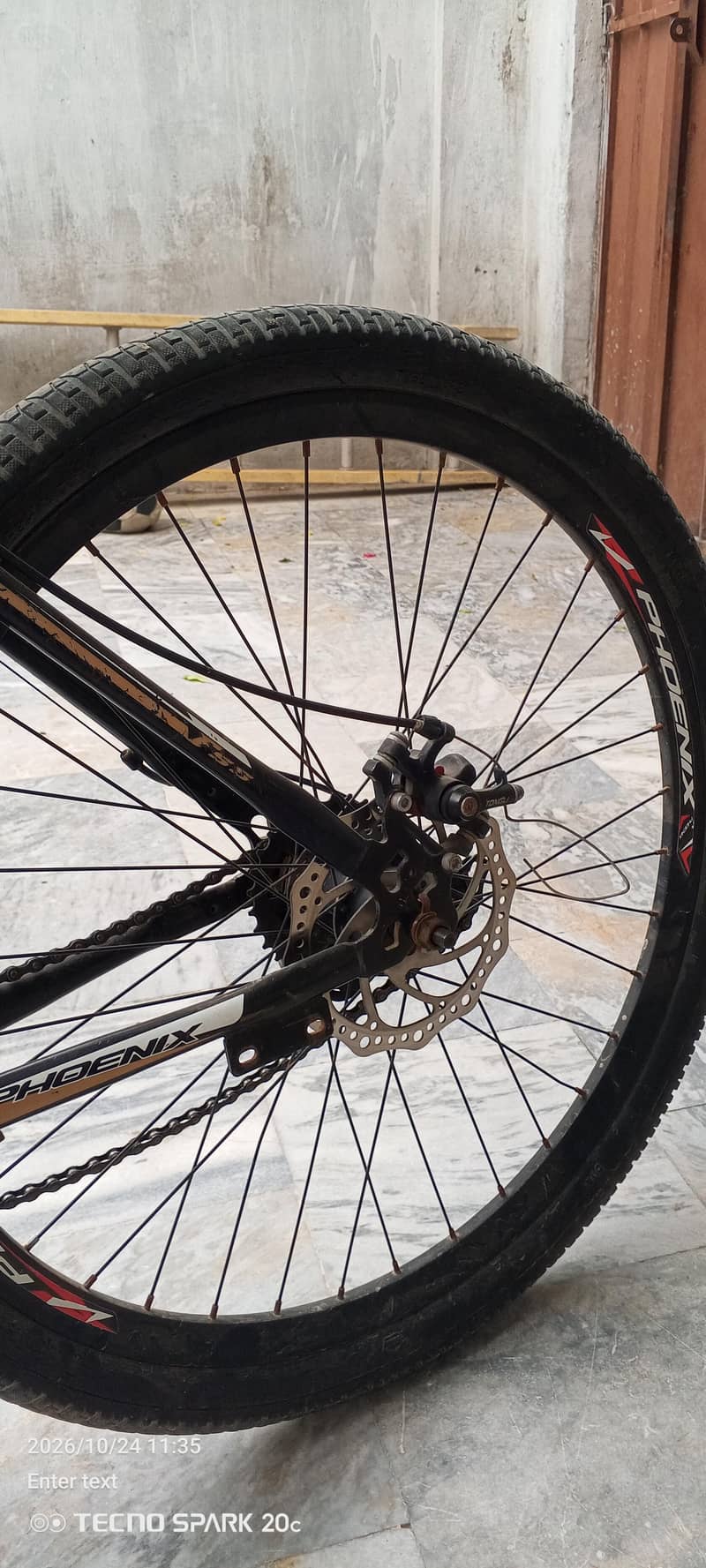 phoenix bicycle 6