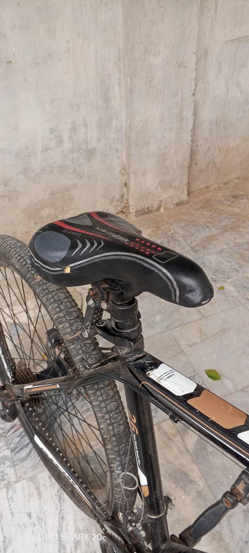 phoenix bicycle 7