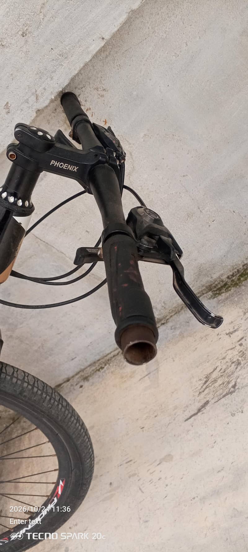 phoenix bicycle 8