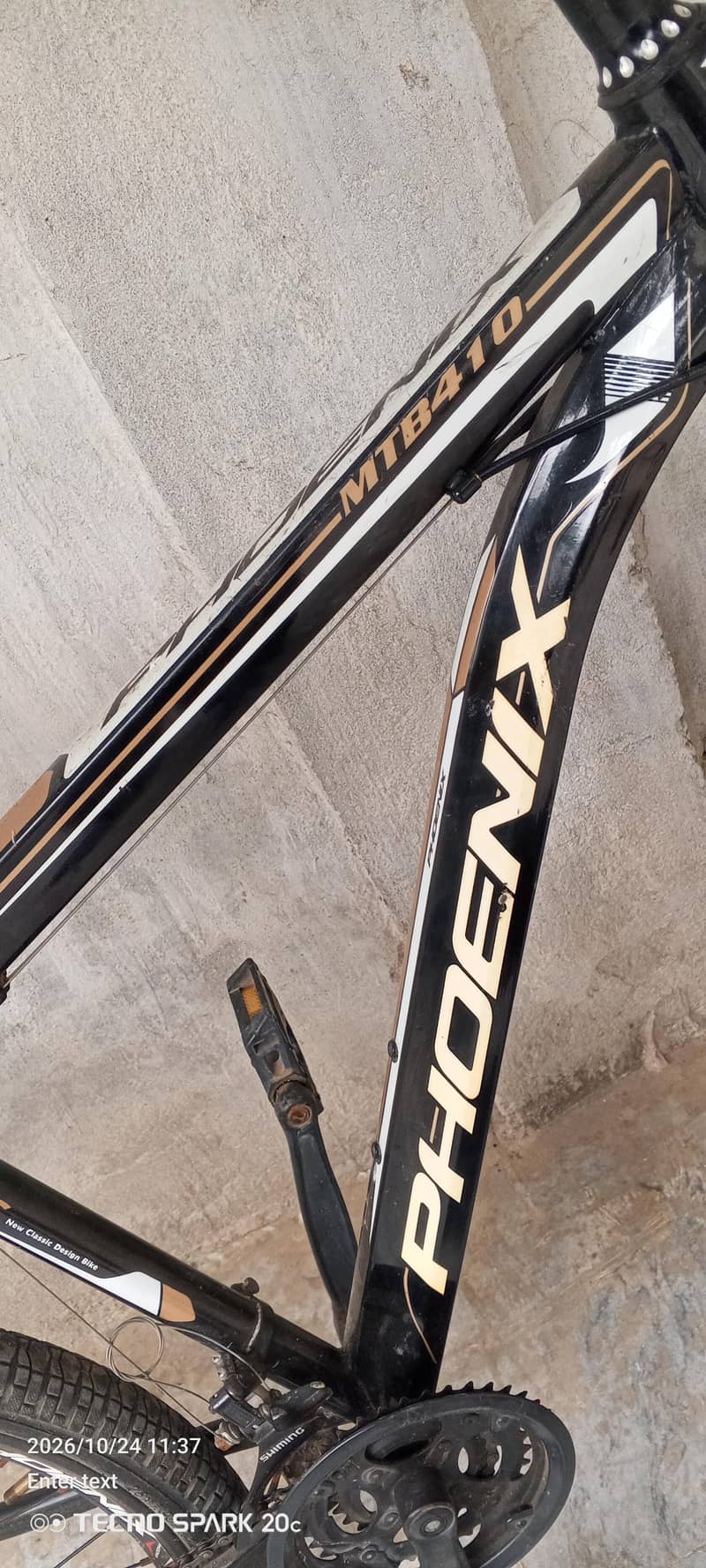 phoenix bicycle 10