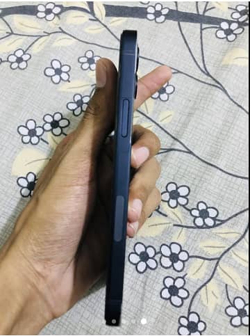 Apple iPhone 12 1