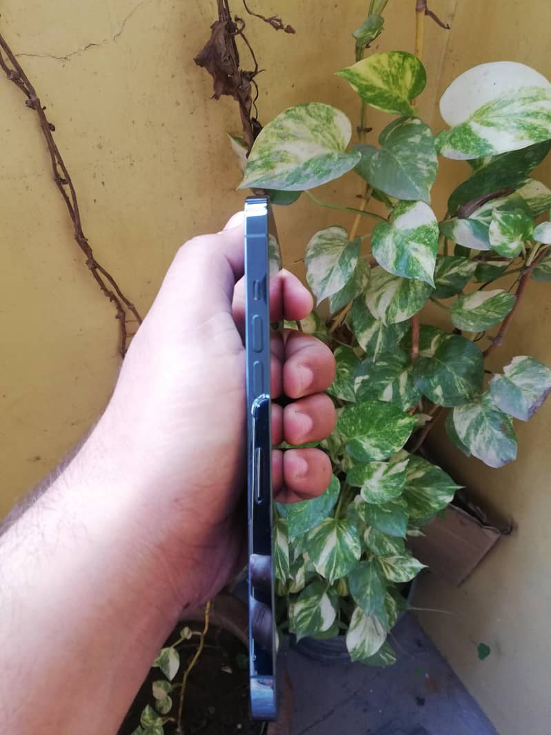 Apple iPhone 12 Pro Max 3