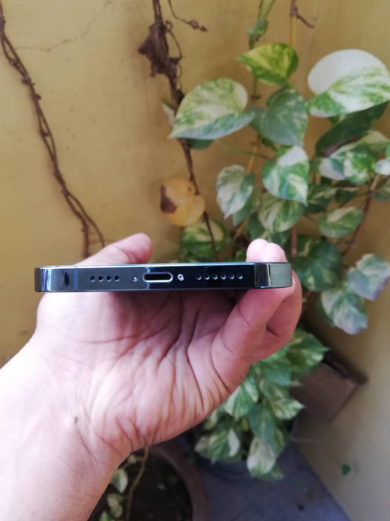 Apple iPhone 12 Pro Max 4