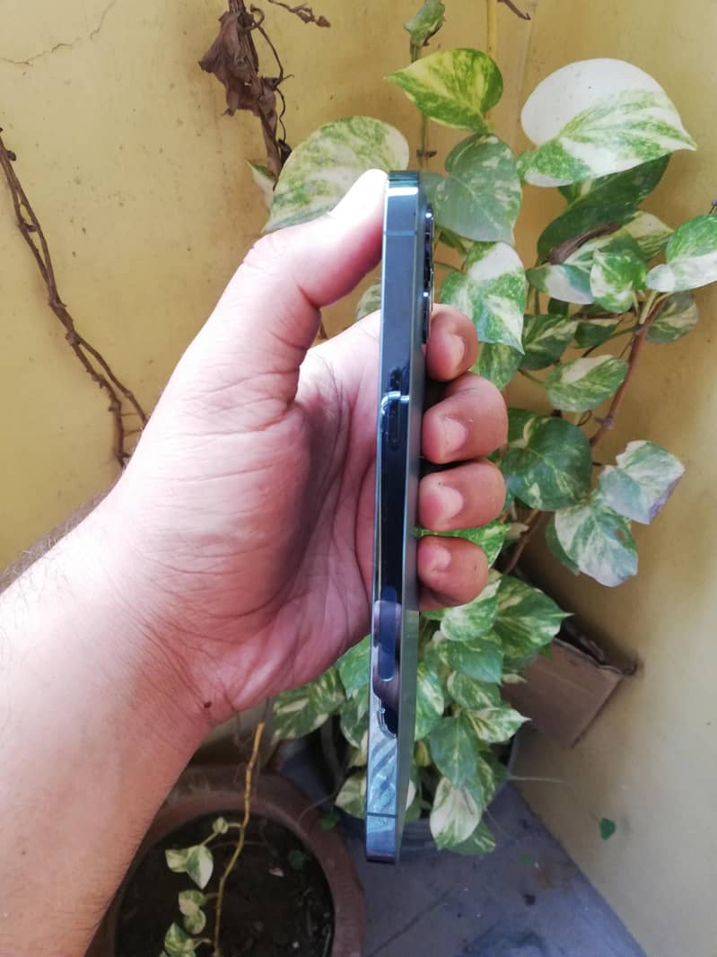Apple iPhone 12 Pro Max 6