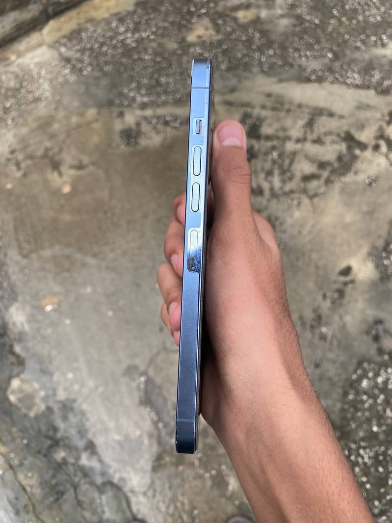 Apple iPhone 13 Pro Max 1