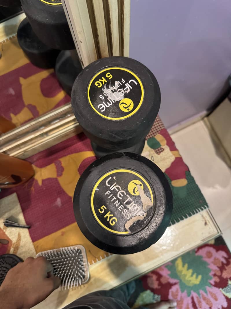 New dumbbell 0