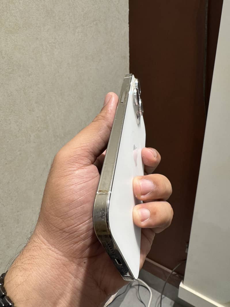 Apple iPhone 13 Pro Max 1