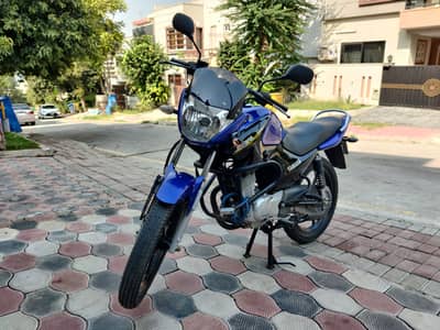 Yamaha YBR 125 2019