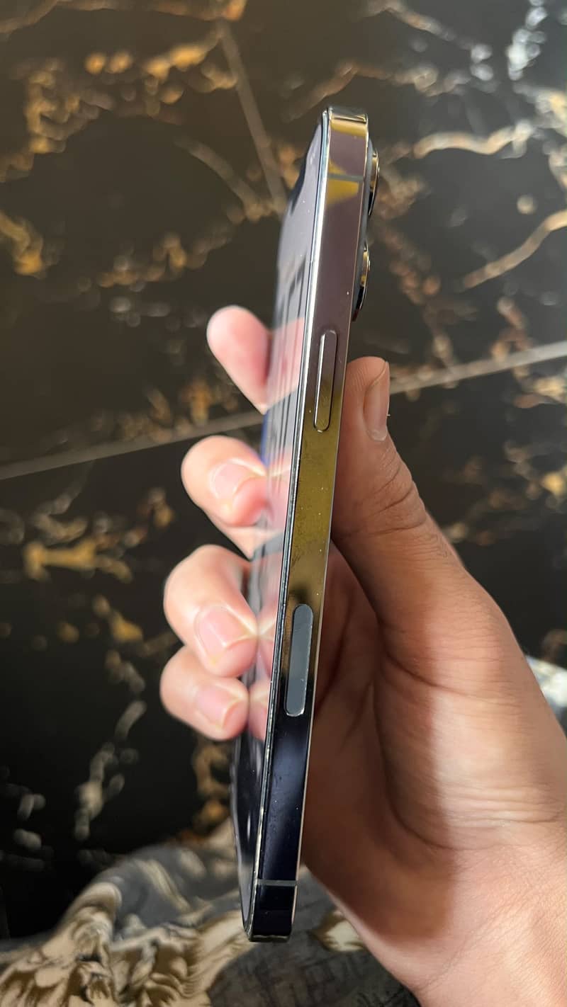 Apple iPhone 13 Pro Max 3