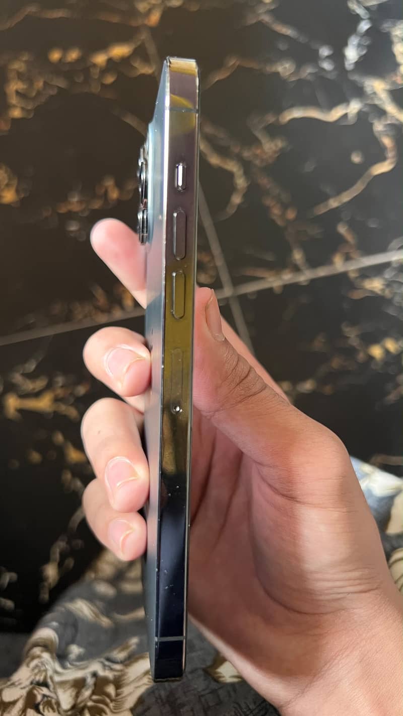 Apple iPhone 13 Pro Max 4