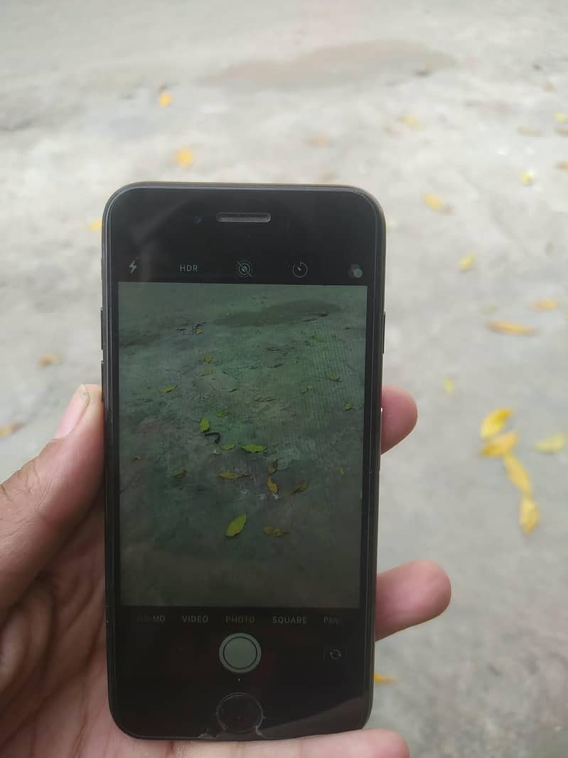 Apple iPhone 7 3