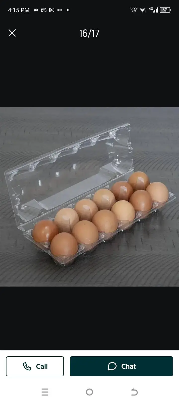 Fertile Desi Misri eggs — photo 7
