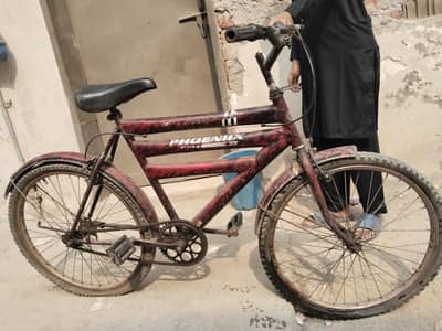 phoenix bicycle. . 8/10 condition hy. .
