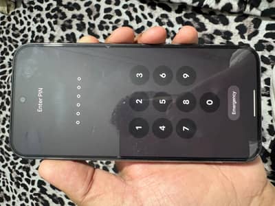 Google Pixel 9 Pro XL official pta