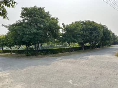 4.25 Marla Commercial Plot for Sale in H Block, Lahore