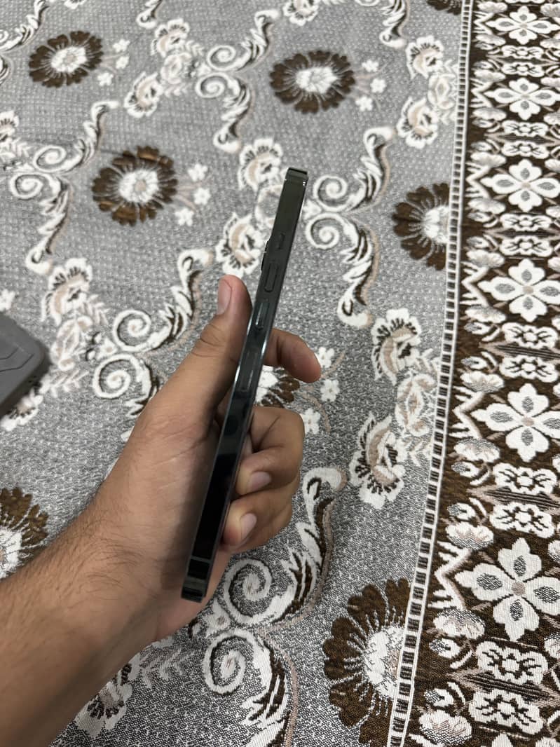 Apple iPhone 13 Pro Max 1