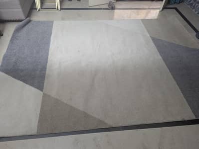 Carpet Rug for sale 12/10 size