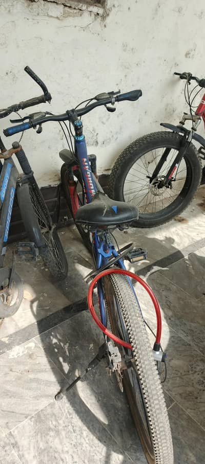 Morgan cycle