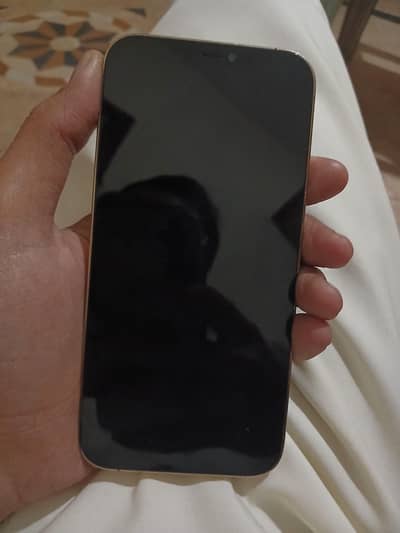 Apple iPhone 12 Pro Max NON PTA 128gb