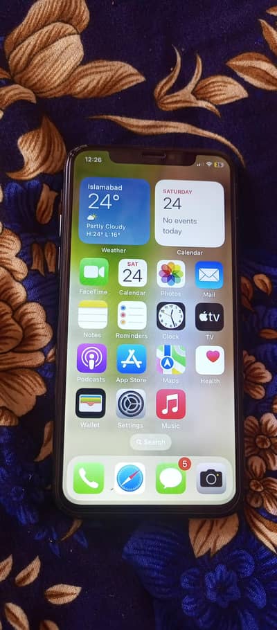 Apple iPhone X