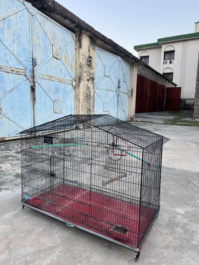 Large Folding Cage