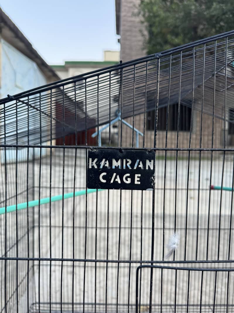 Large Folding Cage 2