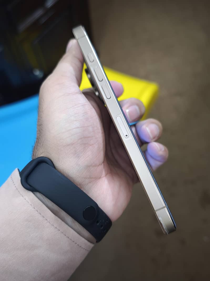 Apple iPhone 16 Pro Max 2
