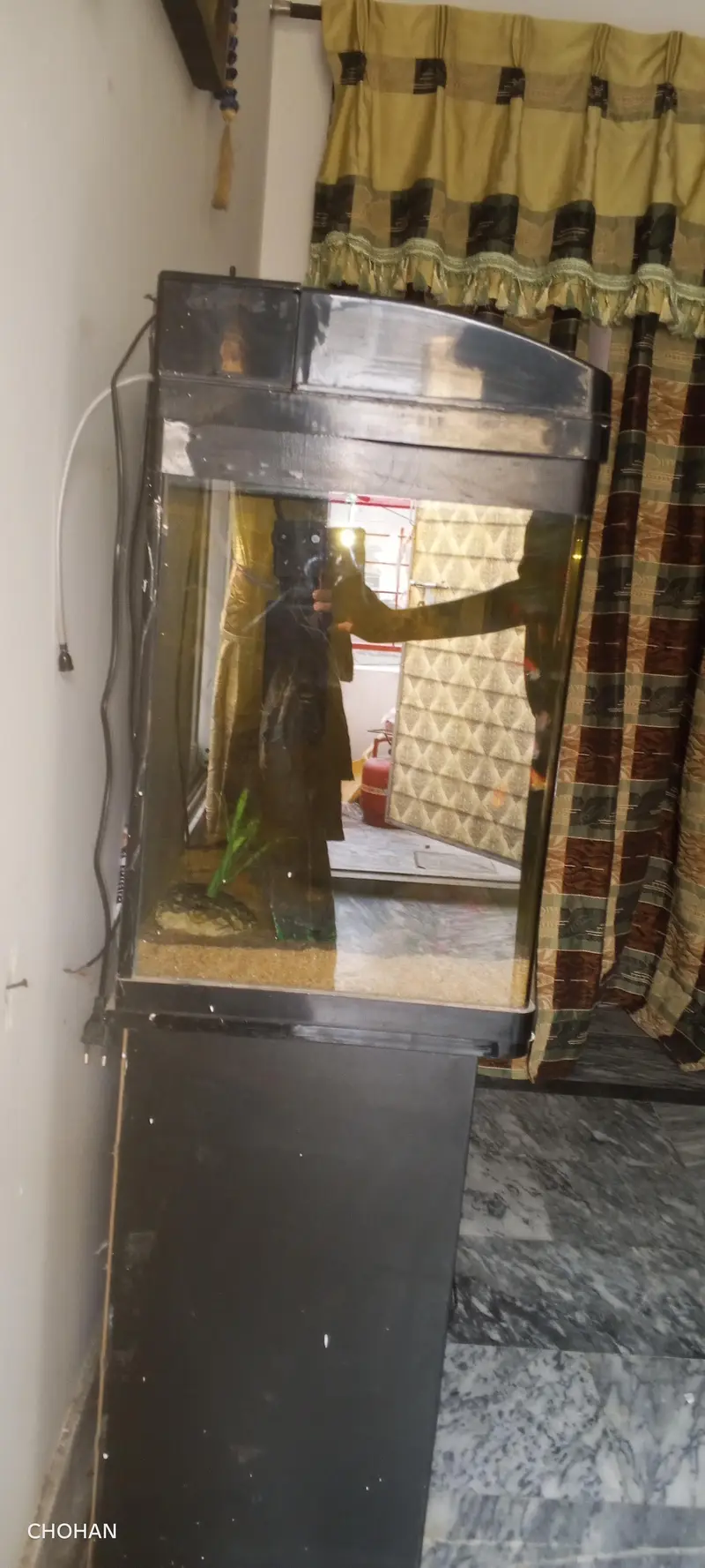 Curved Glass aquarium for sale — photo 6