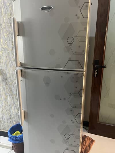 Hair fridge for sale
