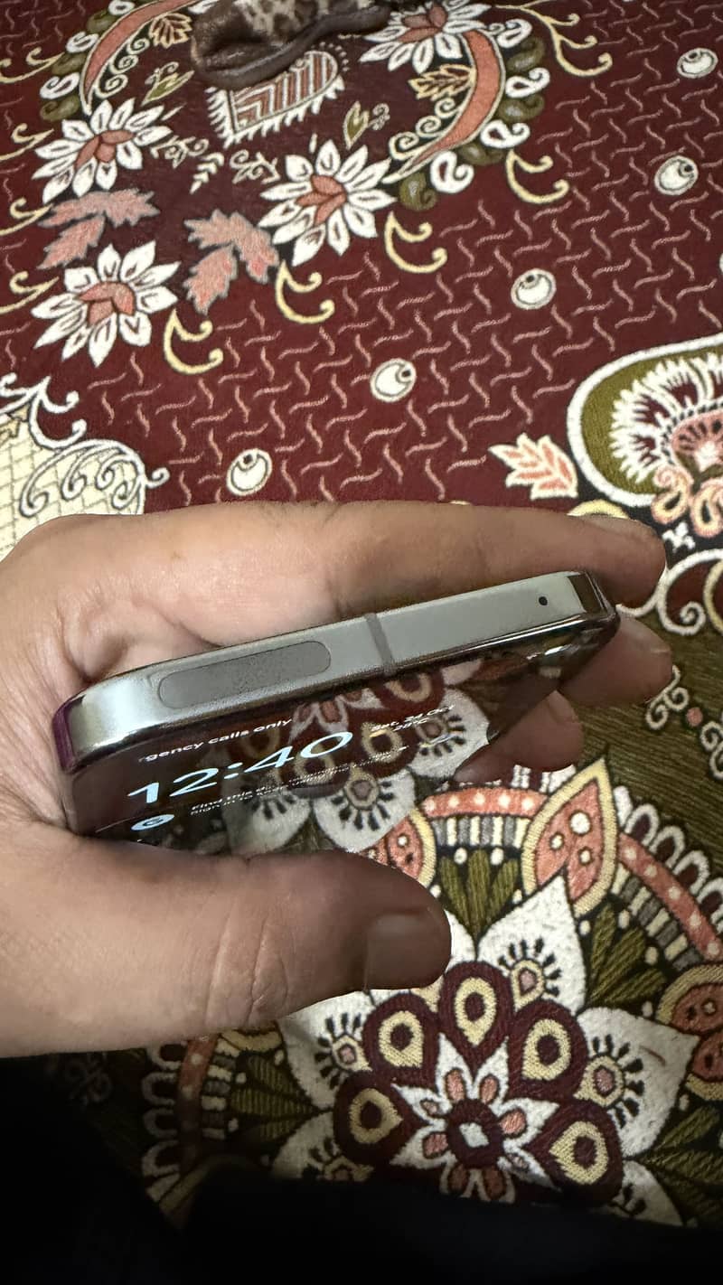 Google Pixel 9 Pro XL 1