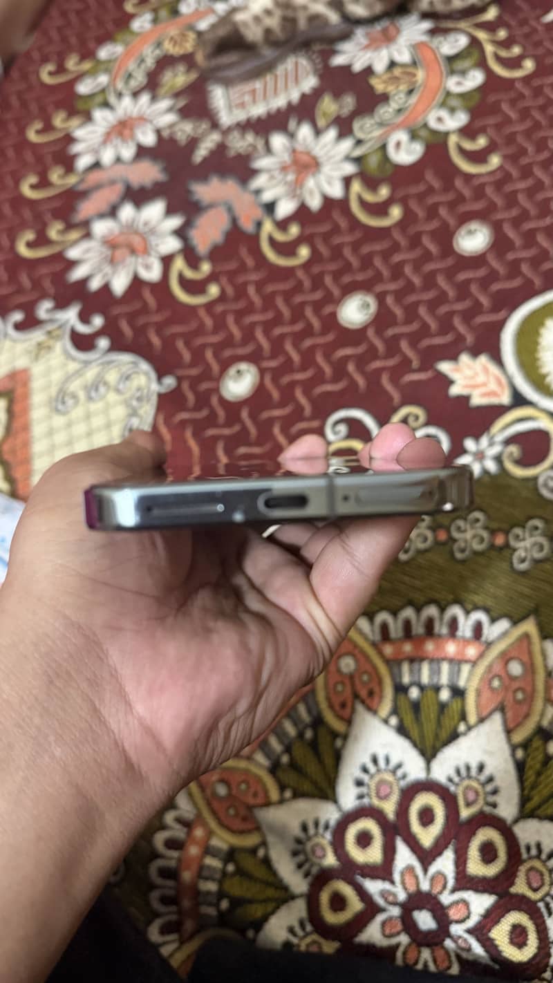 Google Pixel 9 Pro XL 5