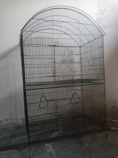 Big cage forbirds
