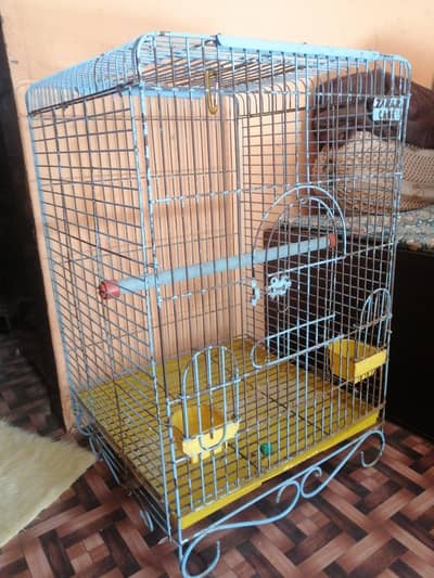 Raw parrot cage