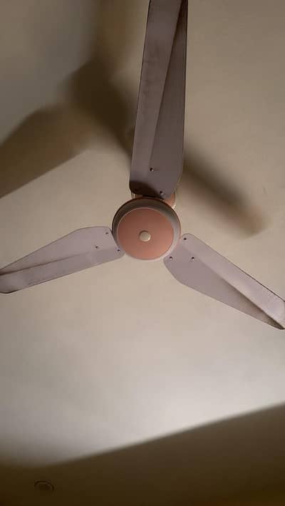 04 ceiling fans for sale 3000 per fan total 12000