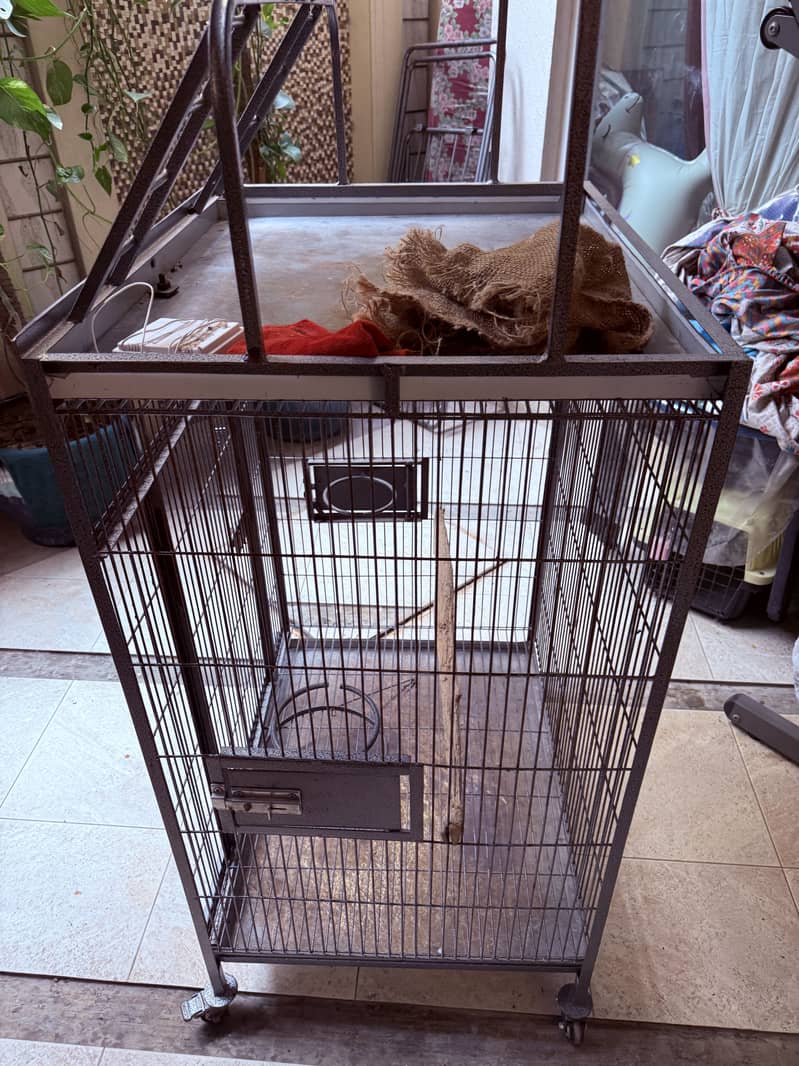 Parrot cage 0