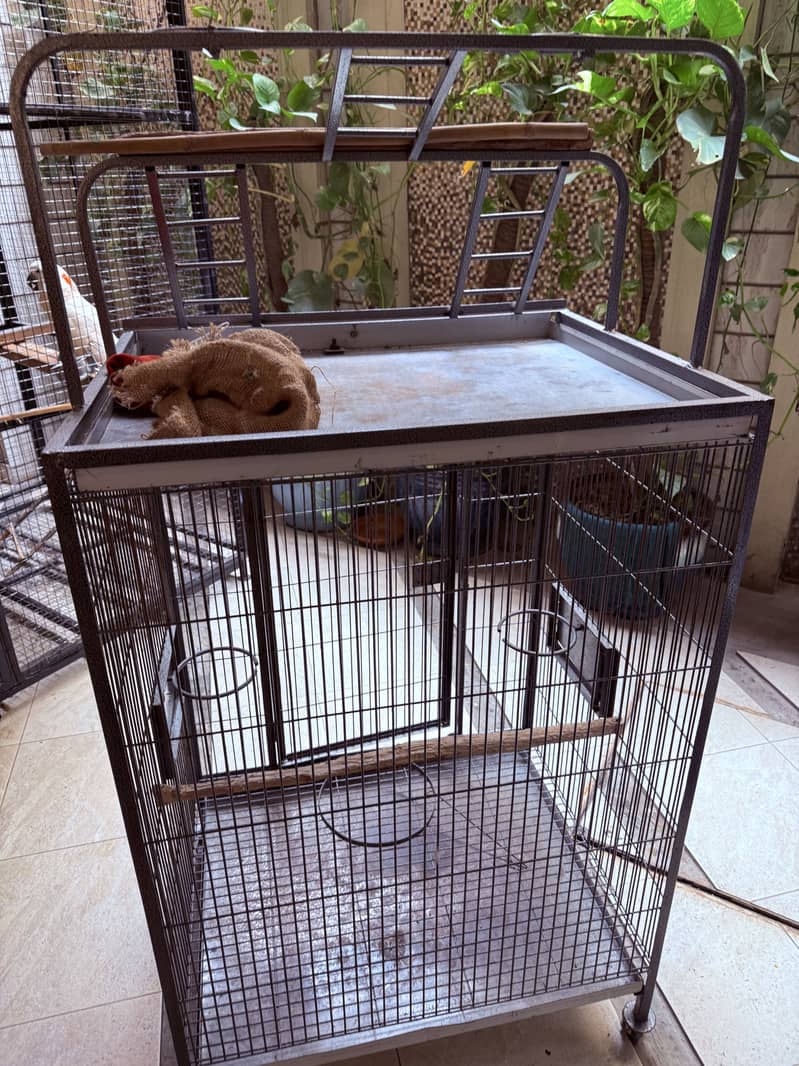 Parrot cage 1