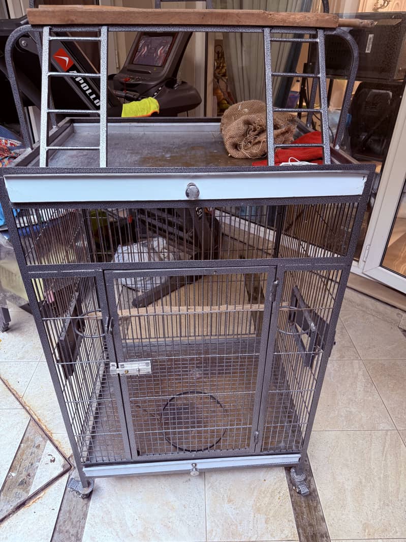 Parrot cage 3