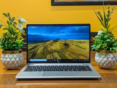 HP ProBook 445 G10 Ryzen 5 7530U 8GB RAM 256GB SSD Laptop