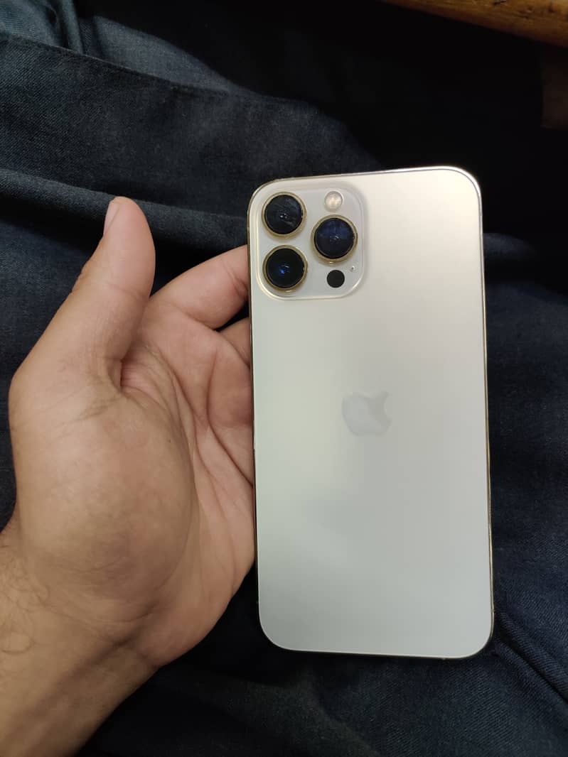 Apple iPhone 13 Pro Max 1