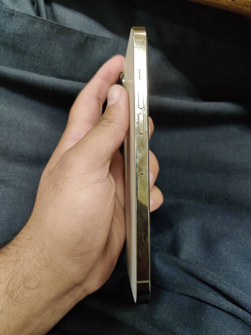 Apple iPhone 13 Pro Max 2