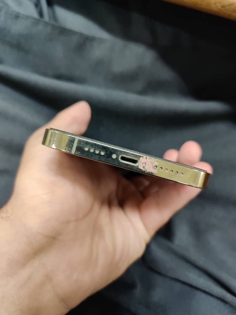Apple iPhone 13 Pro Max 3