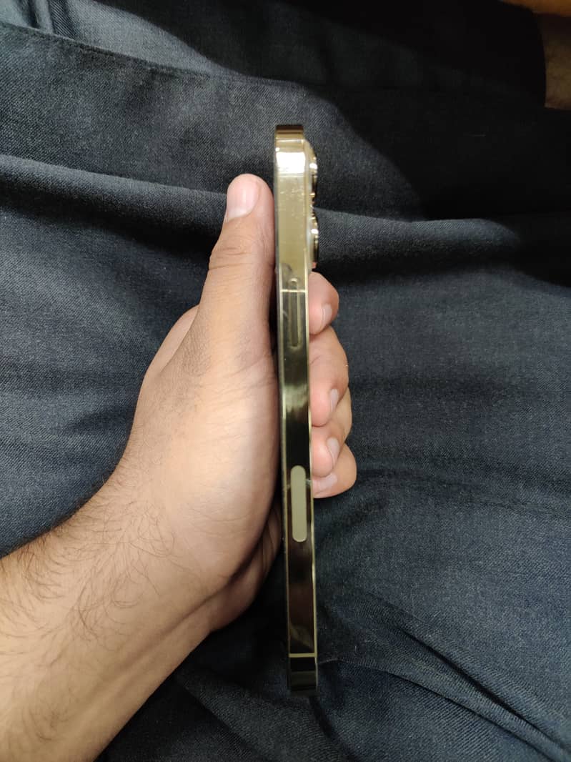 Apple iPhone 13 Pro Max 5